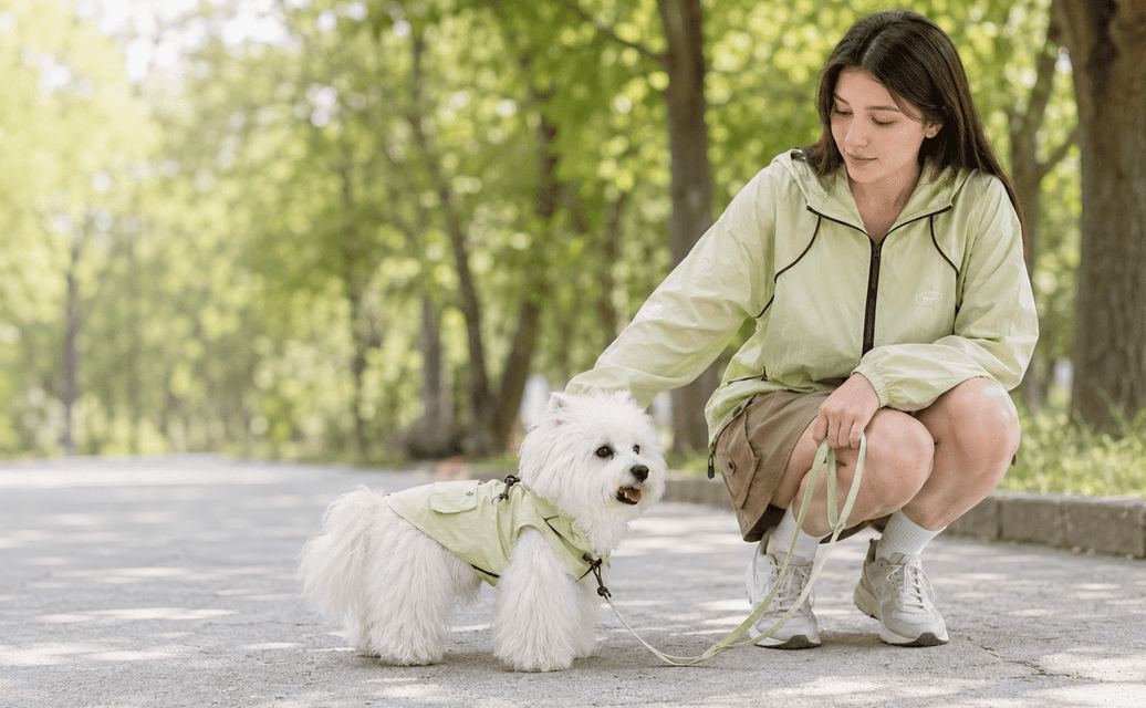 Matching Dog & Owner Outfits: Complete Style Guide (2026)