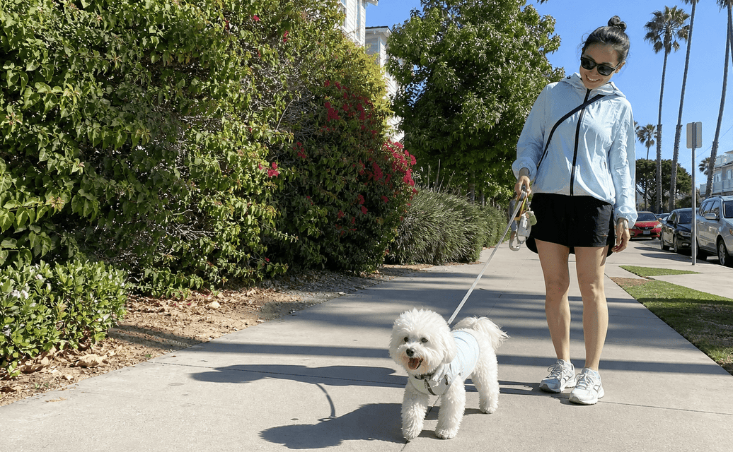 https://cdn.shopify.com/s/files/1/0773/7701/1852/files/Pet_parent_wearing_a_light_blue_sun_protection_jacket_walking_a_white_small_dog_in_matching_light_blue_dog_apparel_on_a_sunny_neighborhood_sidewalk._1.png?v=1783325537