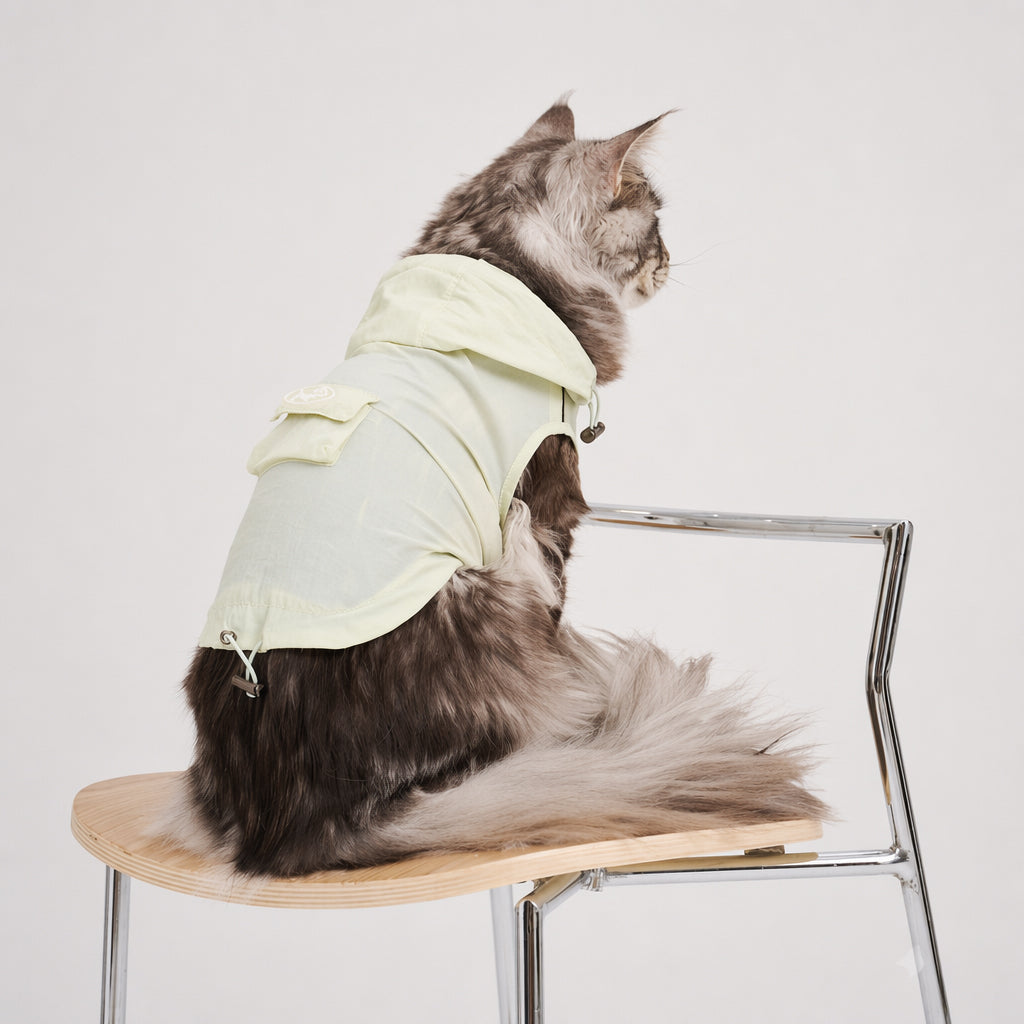Long-haired tabby cat shown from the back wearing a pale green hooded cat sun jacket with adjustable hem details, featuring lightweight cat apparel and breathable pet outerwear.