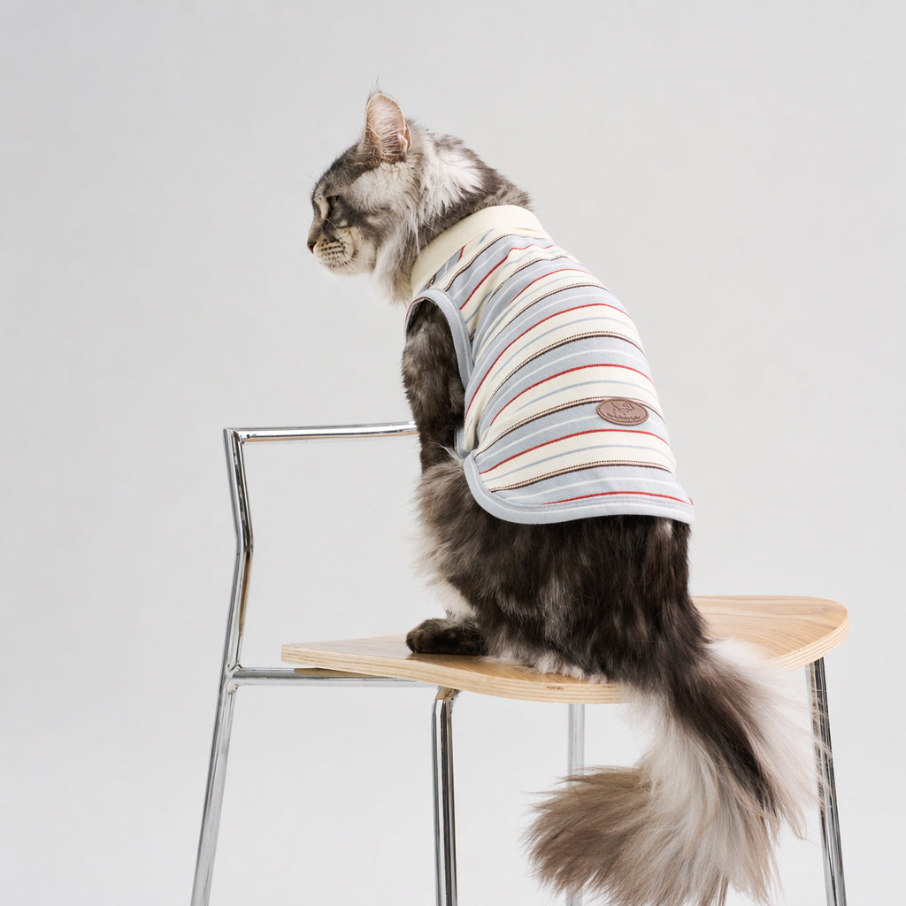 Long-haired tabby cat shown from the back wearing a striped sleeveless cat polo shirt with a white collar, featuring casual cat apparel and stylish pet clothing for everyday wear.