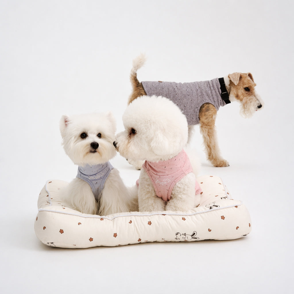 Three small dogs wearing coordinated dog shirts in soft gray, pink, and light blue, featuring cute dog apparel and everyday pet clothing for small dogs.