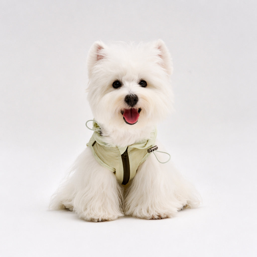 White small dog sitting front view in a pale green hooded dog sun jacket with adjustable drawcords, featuring lightweight dog apparel for warm-weather outdoor comfort.