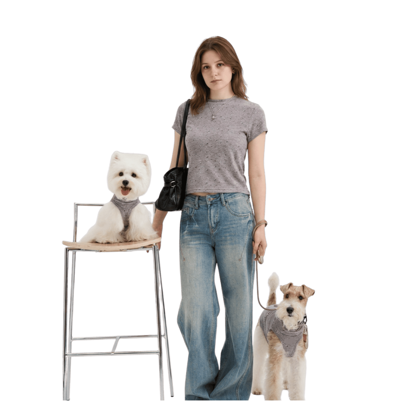 Pet parent wearing a gray matching shirt with two small dogs in coordinated dog clothes, featuring casual pet apparel for everyday outings.