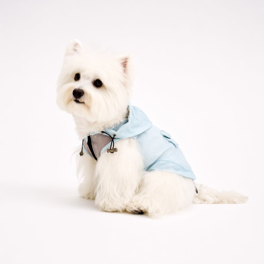 White small dog wearing a light blue dog hoodie, a lightweight pet apparel piece designed for comfortable everyday dog clothes.