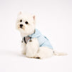 White small dog wearing a light blue dog hoodie, a lightweight pet apparel piece designed for comfortable everyday dog clothes.