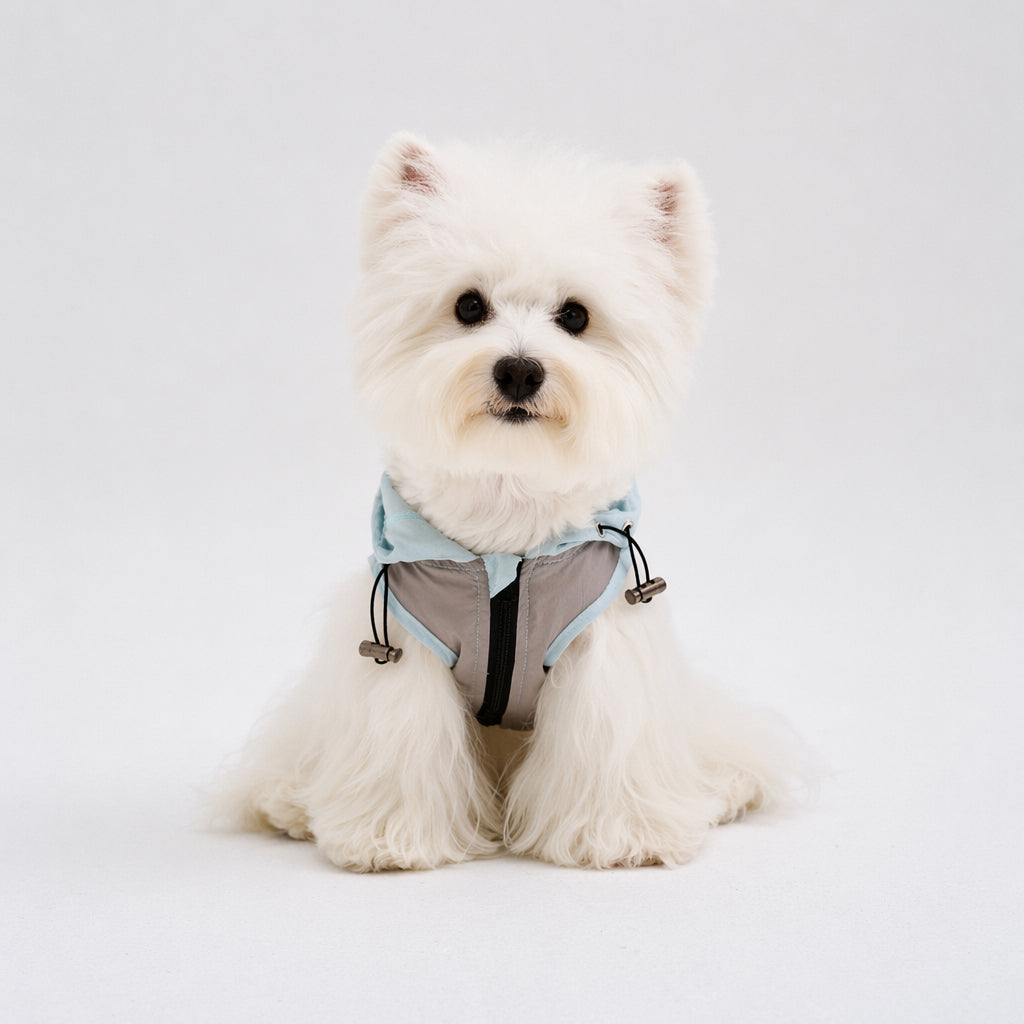 White small dog sitting front-facing in a light blue dog sun protection jacket with gray contrast panels and adjustable drawcords, featuring lightweight dog apparel for outdoor comfort.