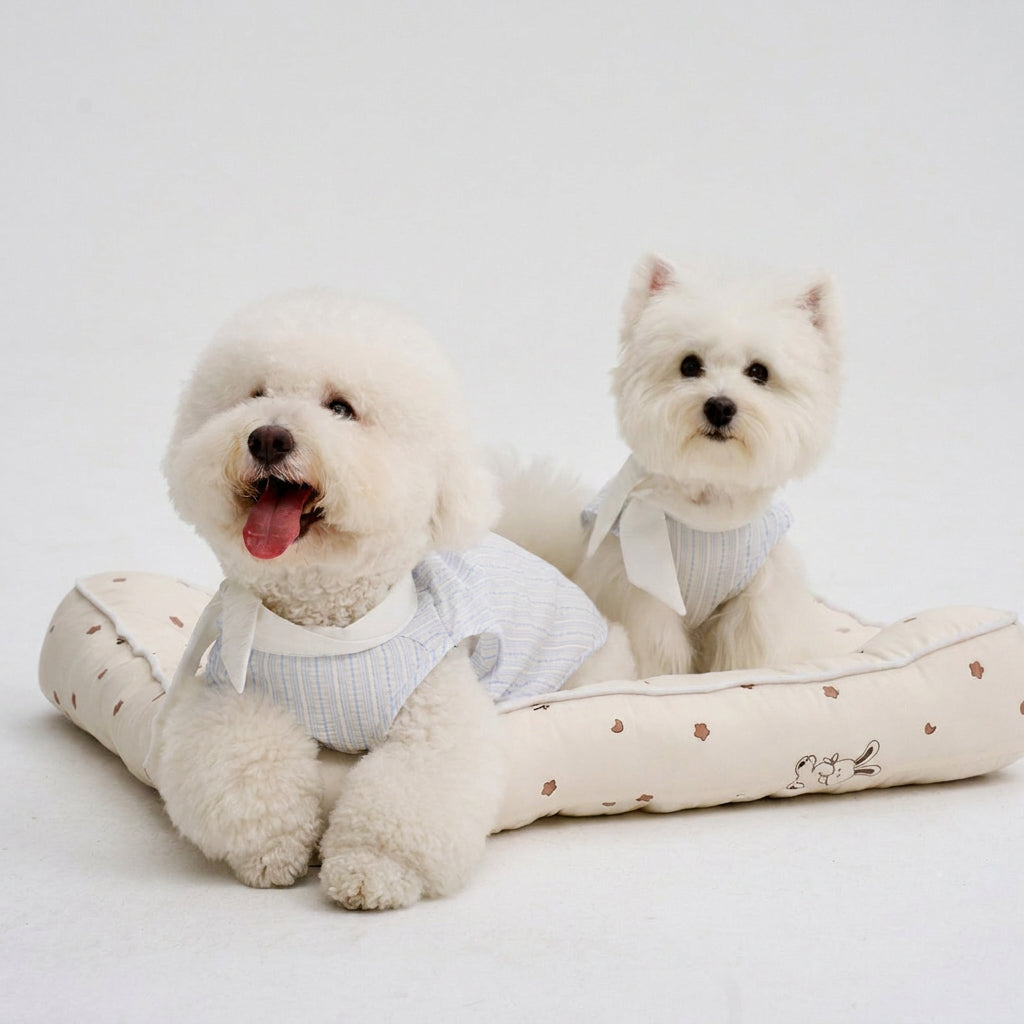 Two white small dogs wearing matching light blue striped dog shirts, featuring soft dog apparel and cute pet clothing for everyday lounging and casual style.