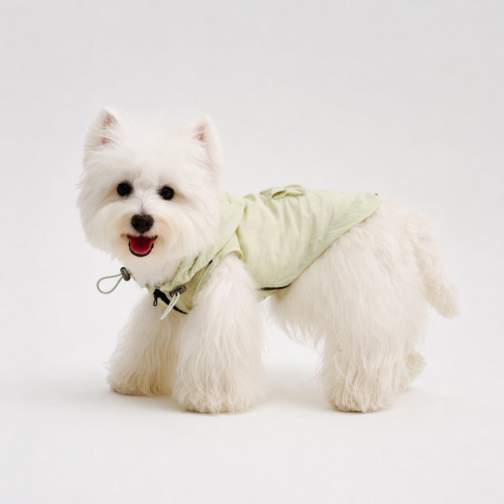 White small dog wearing a pale green dog sun protection jacket with a hood and adjustable drawcords, featuring lightweight dog apparel for warm-weather walks and everyday outdoor comfort.