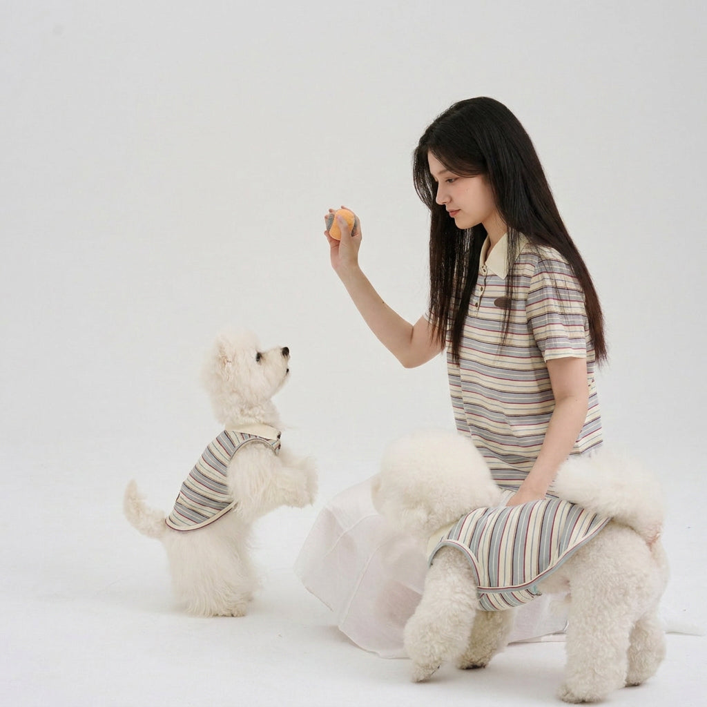 Pet parent in a striped polo playing with two white small dogs wearing coordinated striped dog polos, featuring soft small dog apparel and a playful pet parent matching outfit.