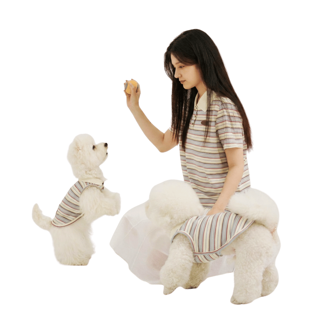 Pet parent wearing a striped matching shirt while playing with two white dogs in coordinated dog shirts, featuring casual pet apparel for everyday bonding moments.