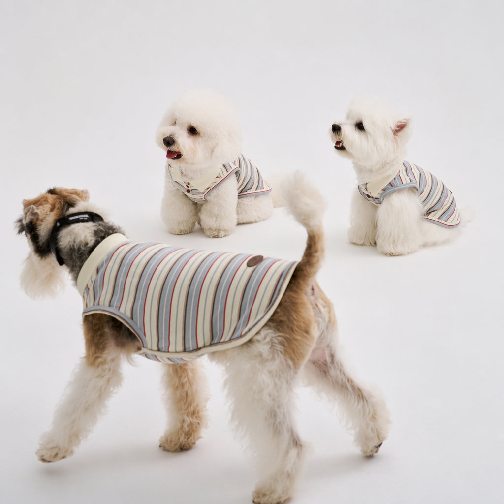 Three small dogs wearing matching striped sleeveless dog polo shirts, featuring casual dog apparel and comfortable pet clothing for small dogs.